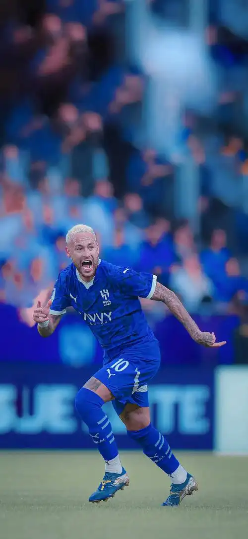 他的执教表 他的执教表