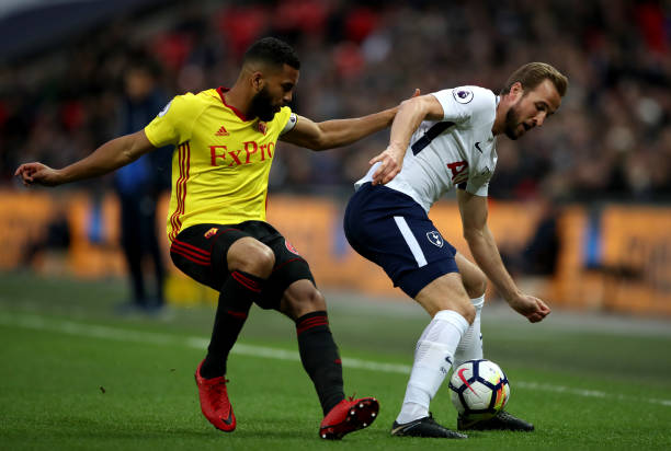 更丰富的体 更丰富的体